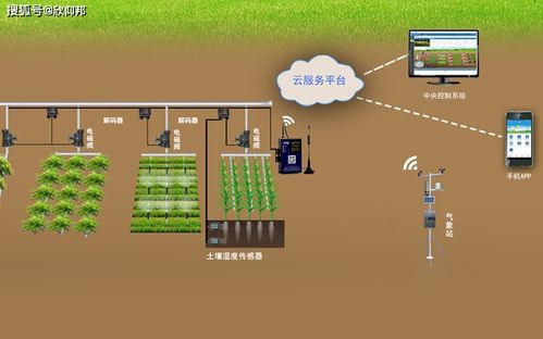 草莓移動式栽培裝置 智能農(nóng)業(yè)的創(chuàng)新實踐